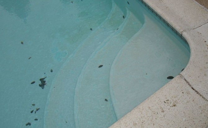 Hard to Remove Pool Stains
