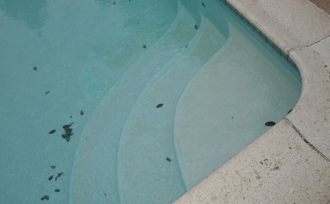 Hard to Remove Pool Stains
