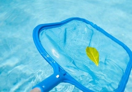The Need for Professional Pool Care